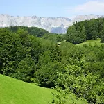 Loeffelberger * Hallein