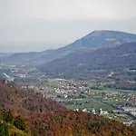 Loeffelberger Hallein
