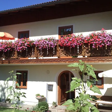 Löffelberger * Hallein