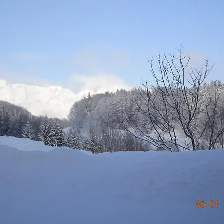 Loeffelberger 아파트