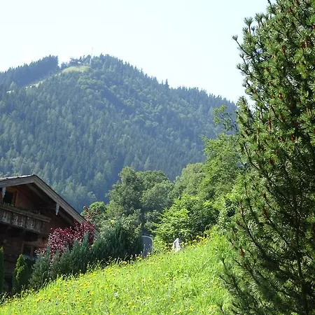 Apartment Löffelberger