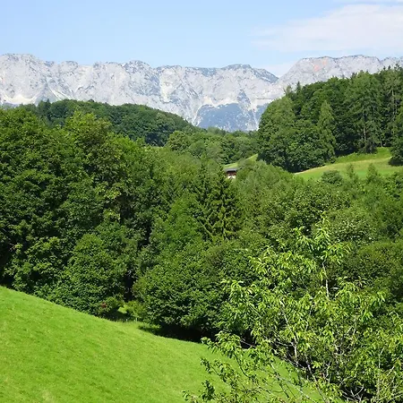 Löffelberger * Hallein