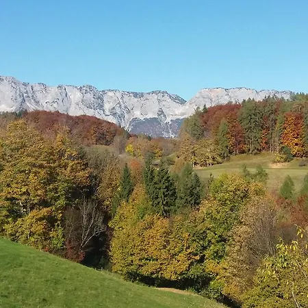 Apartment Loeffelberger *