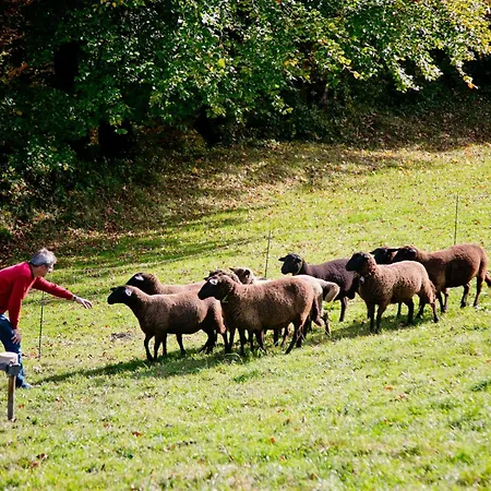 Loeffelberger 아파트 *