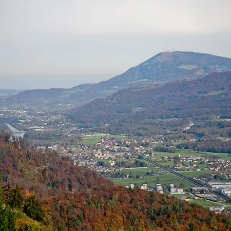 Löffelberger Hallein