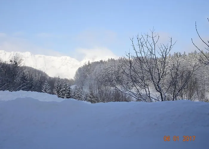 Loeffelberger Apartment