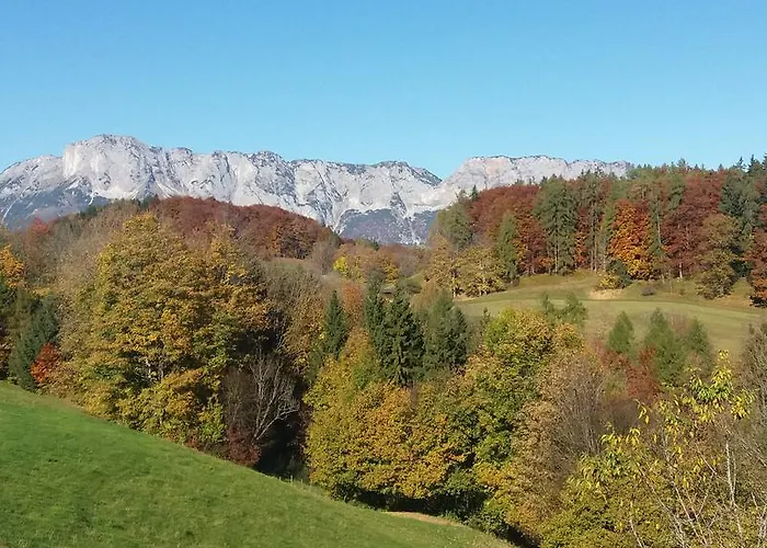 Apartment Loeffelberger *