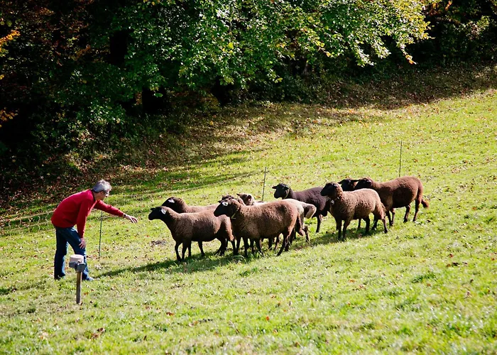 Loeffelberger アパート *